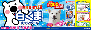 丸永製菓、「目指せ！スター白くまキャンペーン」8月まで実施中