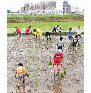 駅から程近い田んぼだが、夏になればホタルも飛んでくる