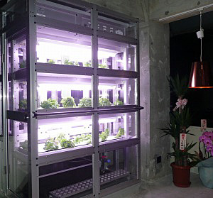 小型植物工場の設備は前面がスライドし、人が入って作業できる