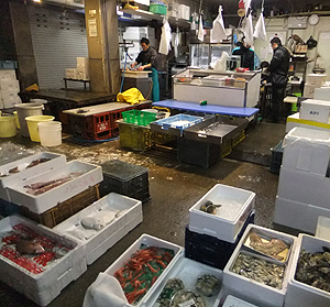 多くの魚種でにぎわう大阪中央卸売市場本場。だが東北産の多くが震災前水準に戻っていない