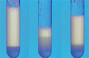 左から無添加、ポエム（R）FB-28、シリコーン消泡剤振盪試験結果（静置2分後）
