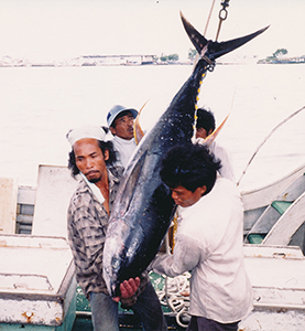 資料：筆者撮影（1989年12月、ジャカルタ漁港ムアラ・バル）