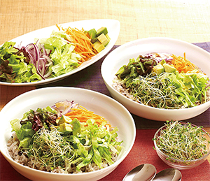 フレッシュサラダは酵素たっぷり スーパースプラウトと夏野菜のサラダビビンバ 日本食糧新聞電子版