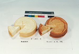 エーザイフード ケミカル キシロースefc 発売 加食の揚げ 焼き色改良 日本食糧新聞電子版