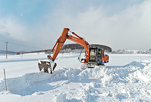 積もった雪からキャベツを重機で掘り起こす