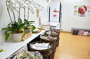 仕入れ日直後は陳列棚が日本産の野菜やイチゴで満載となるという「みずほの村市場バンコク店」＝バンコク・スクンビット39で小堀晋一が15年12月28日写す