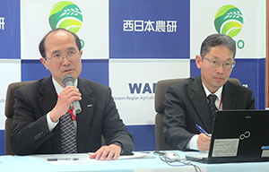 記者発表する日本製粉中央研究所大楠秀樹基礎研究所長（左）と西日本農研麦類育種グループ高田兼則グループ長