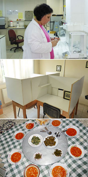 （上）厳格な管理体制のもと行われる化学検査（中）検査室（下）オリーブオイルを使った家庭料理