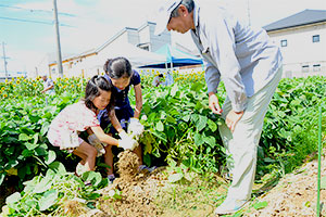 主催者スタッフの指導の下、枝豆を収穫