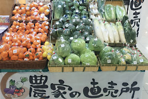 新鮮な野菜・果物が並ぶ農家の直売所