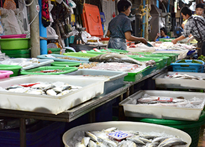 タイの漁港では毎日多くの水揚げがある（2017年11月、サムットサーコーン県で小堀写す）