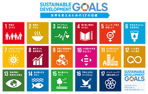 「持続可能な開発目標」（SDGs）　（出所＝国連広報センター）