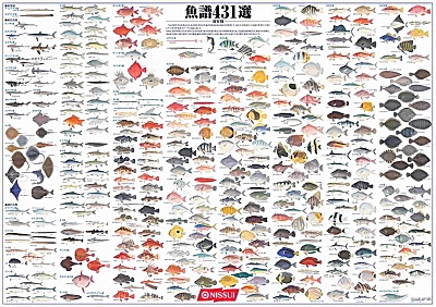 送料込　日本水産魚譜　非売品